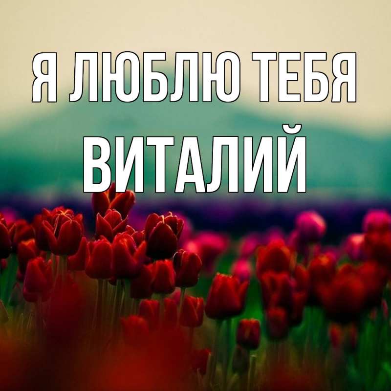 Картинка Я люблю тебя, Виталий