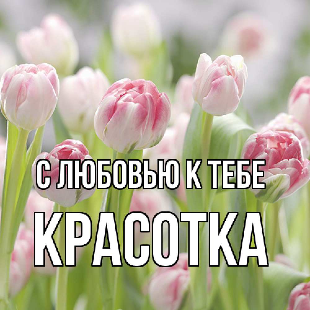 Открытка  с именем. Красотка, С любовью к тебе  