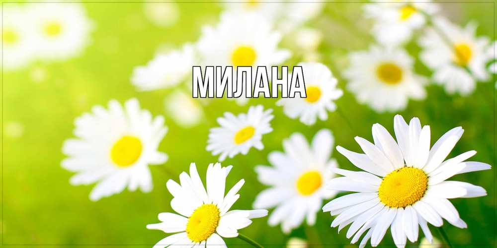 Открытка  с именем. Милана, Главная  