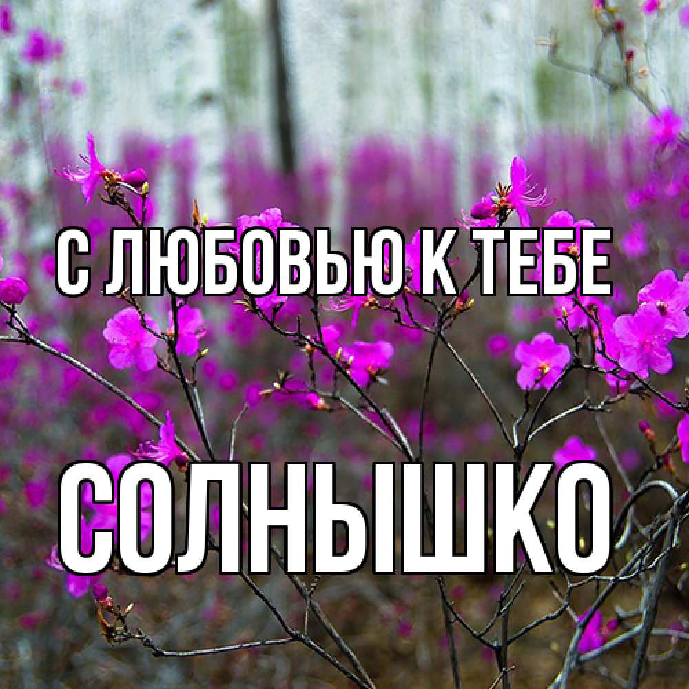 Открытка  с именем. Солнышко, С любовью к тебе  