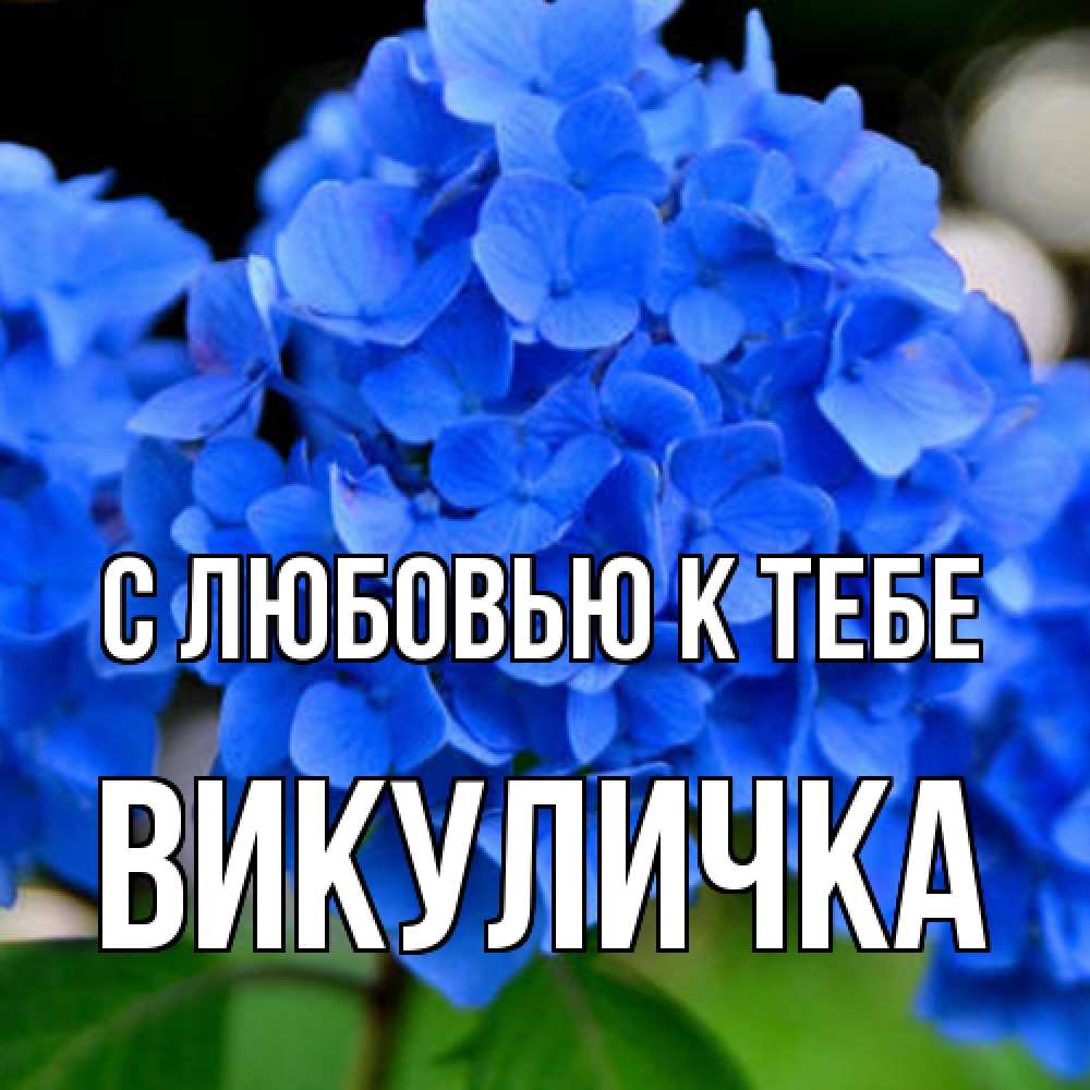 Открытка  с именем. Викуличка, С любовью к тебе  