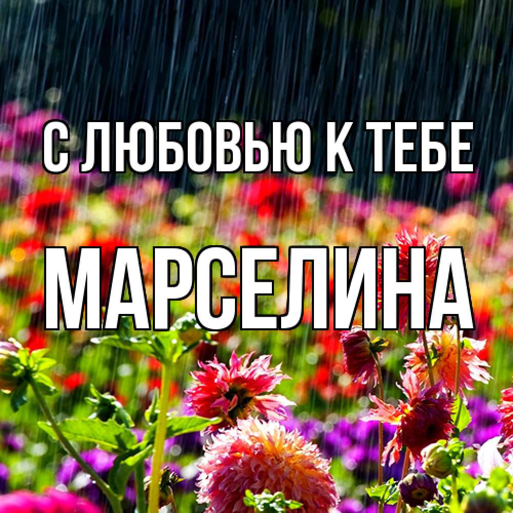 Открытка  с именем. Марселина, С любовью к тебе  