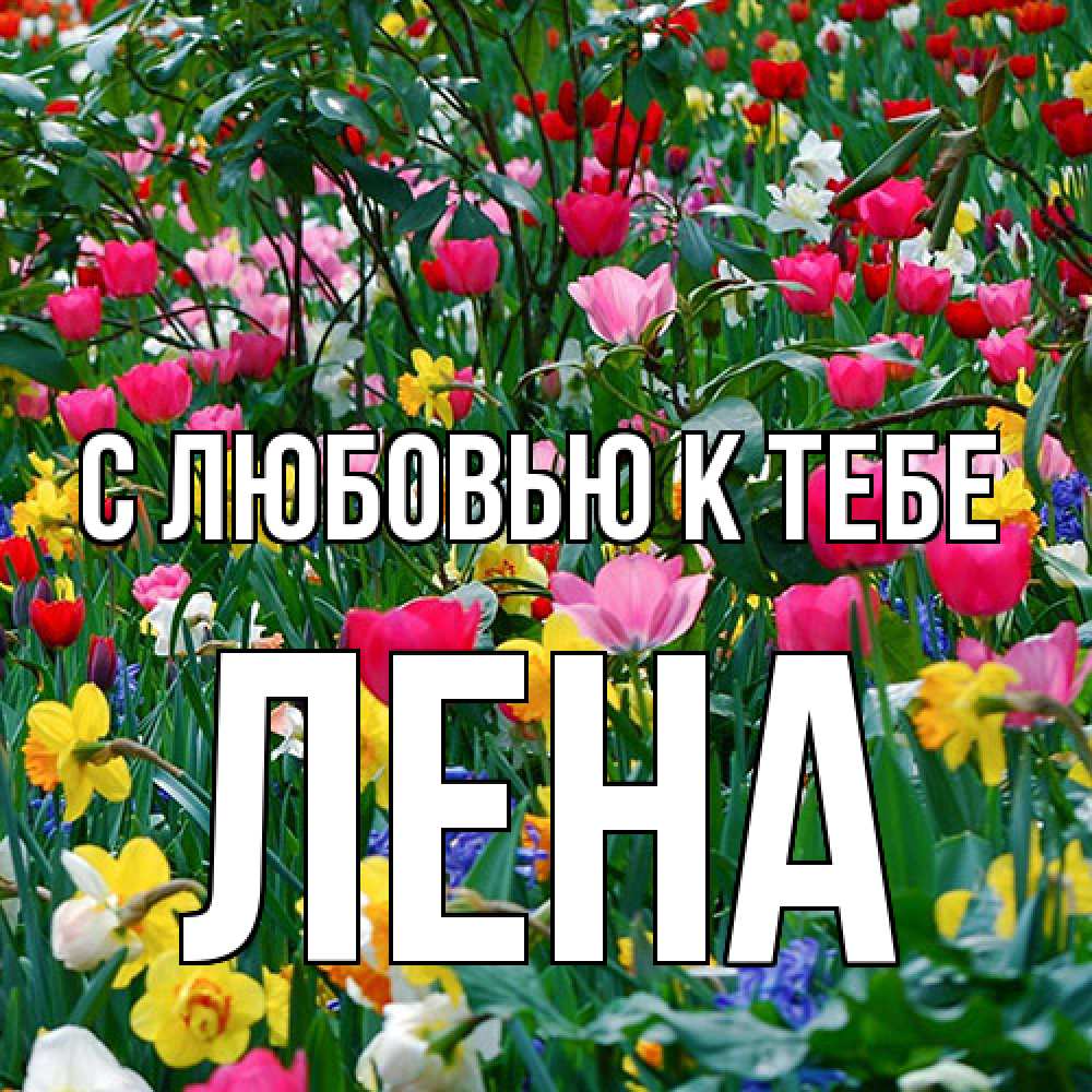 Открытка  с именем. лена, С любовью к тебе  