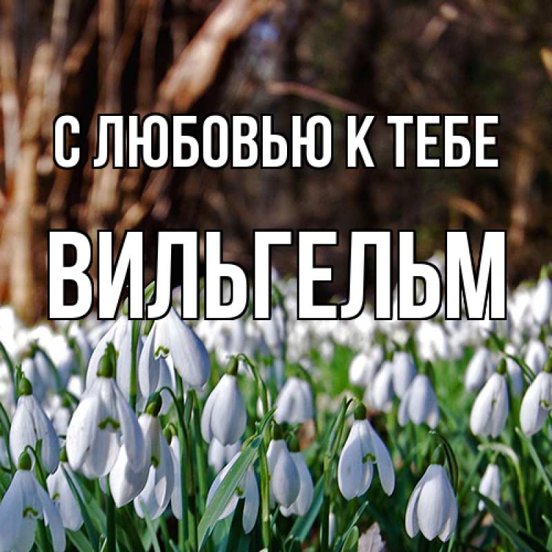 Картинка С любовью к тебе, Вильгельм