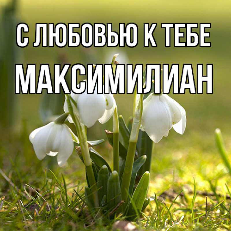 Открытка с именем, Максимилиан, С любовью к тебе