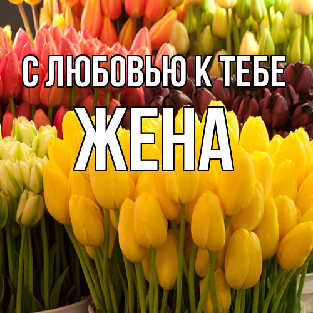 Открытка  с именем. Жена, С любовью к тебе  