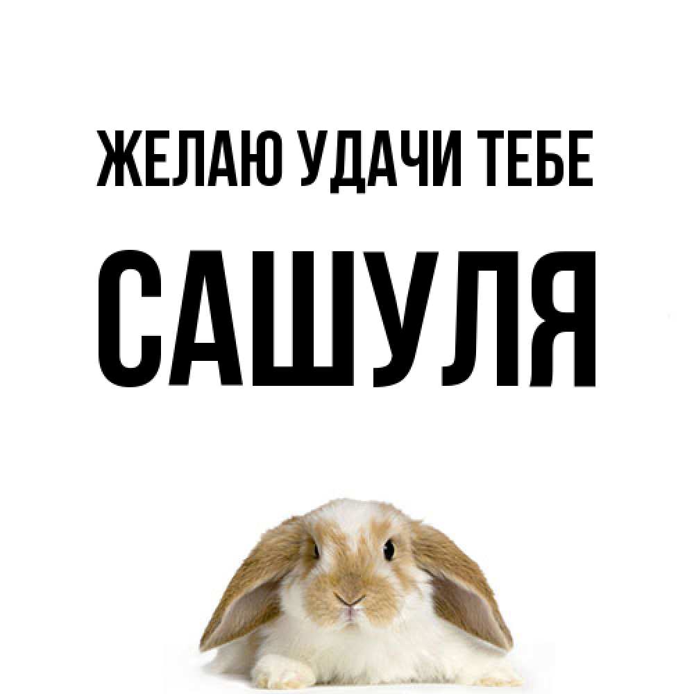 Открытка  с именем. Сашуля, Желаю удачи тебе  