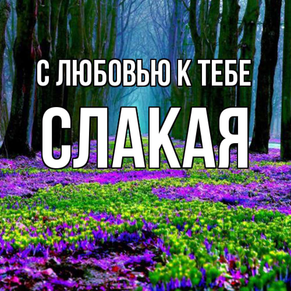 Открытка  с именем. Слакая, С любовью к тебе  