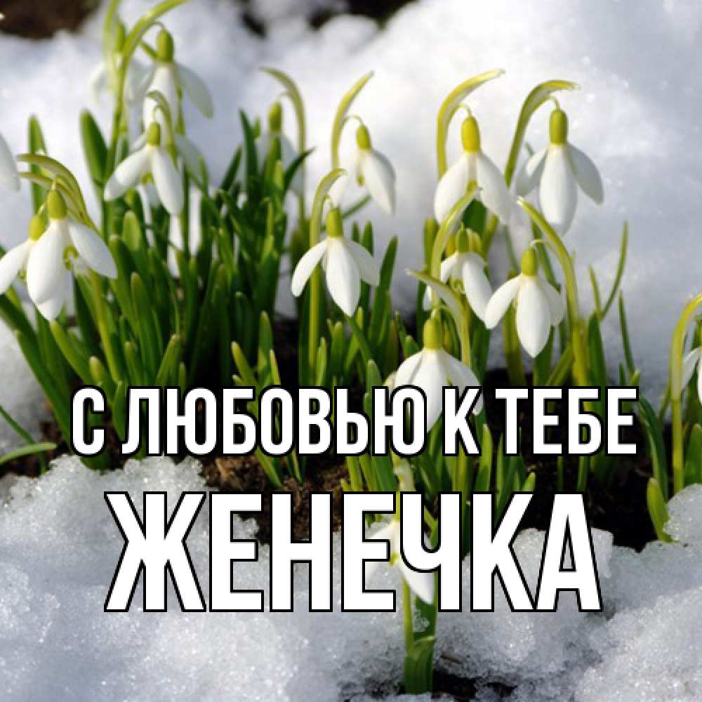 Открытка  с именем. Женечка, С любовью к тебе  