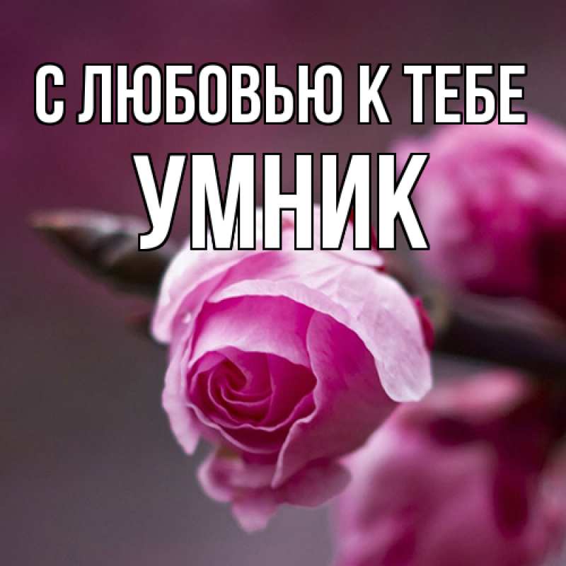 Картинка С любовью к тебе, Умник