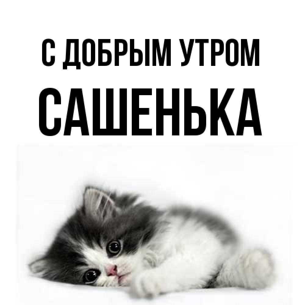 Открытка  с именем. Сашенька, С добрым утром  