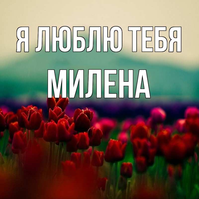 Картинка Я люблю тебя, Милена