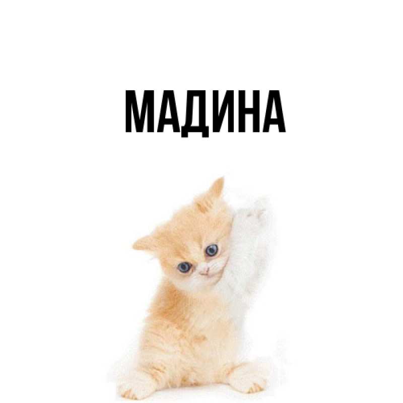 Открытка с именем, мадина, 