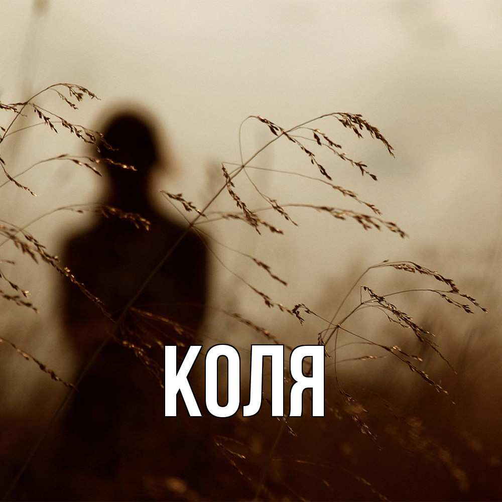 Открытка  с именем. коля, Главная  