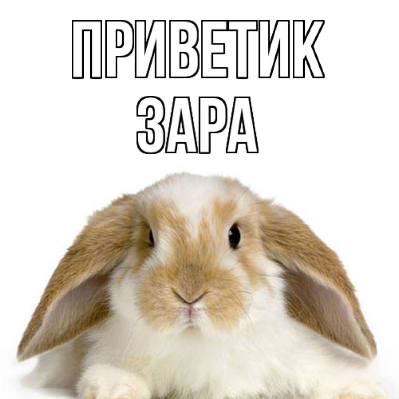 Картинка приветик, Зара