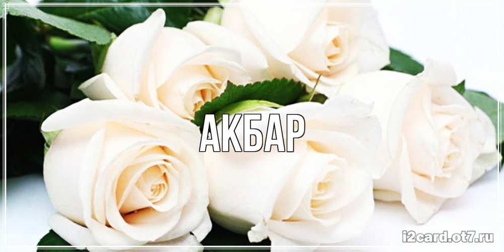 Открытка  с именем. Акбар, Главная  