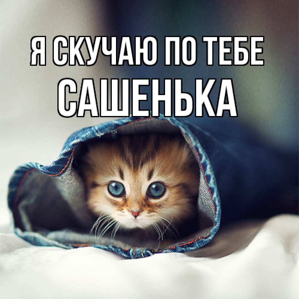 Открытка  с именем. Сашенька, Я скучаю по тебе  