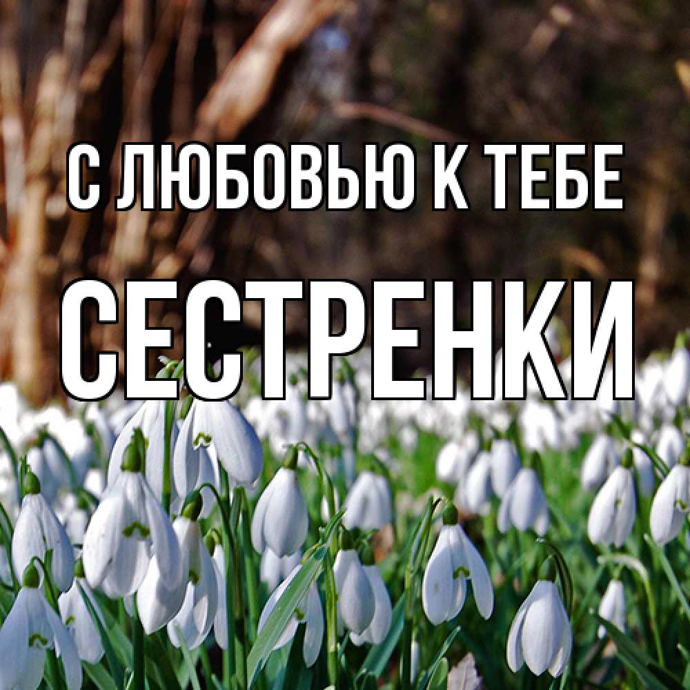 Открытка  с именем. Сестренки, С любовью к тебе  