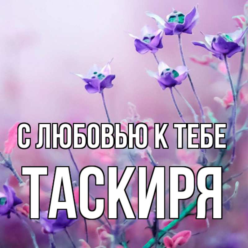 Картинка С любовью к тебе, Таскиря