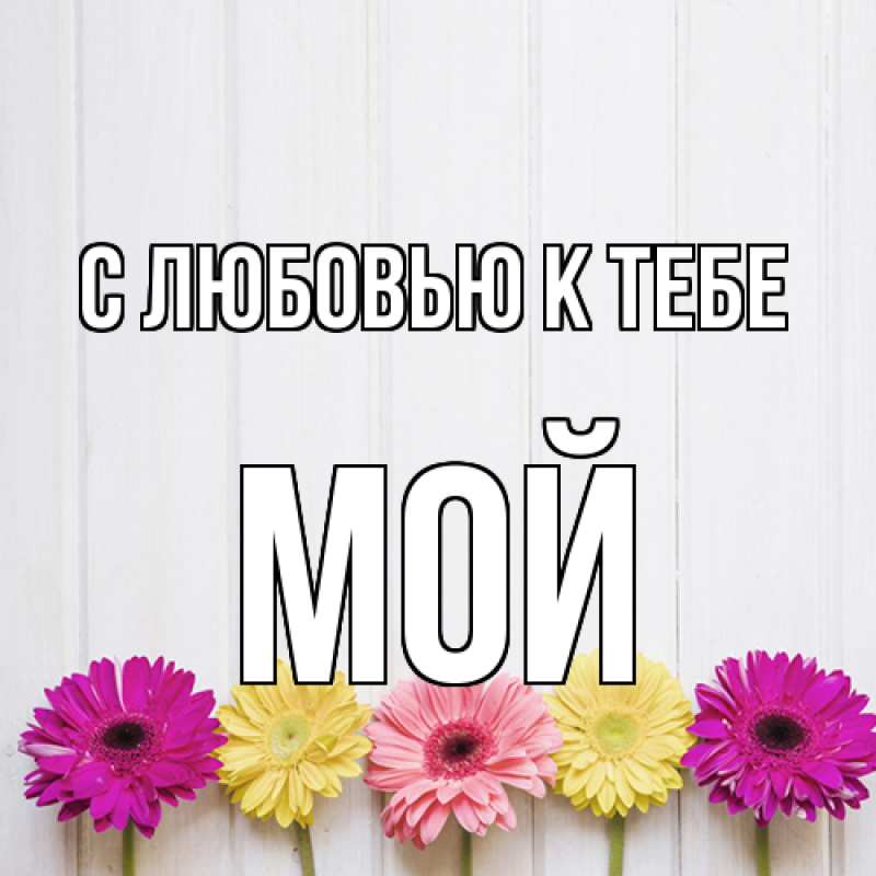 Картинка С любовью к тебе, Мой
