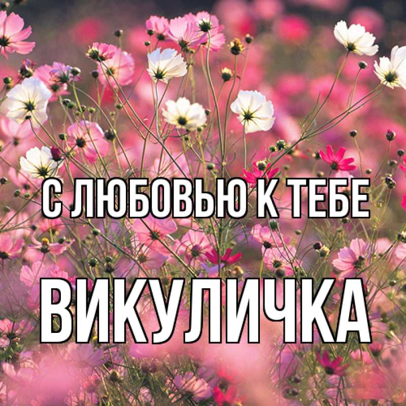 Картинка С любовью к тебе, Викуличка