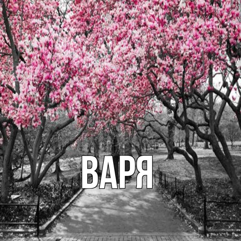 Картинка  с именем , варя