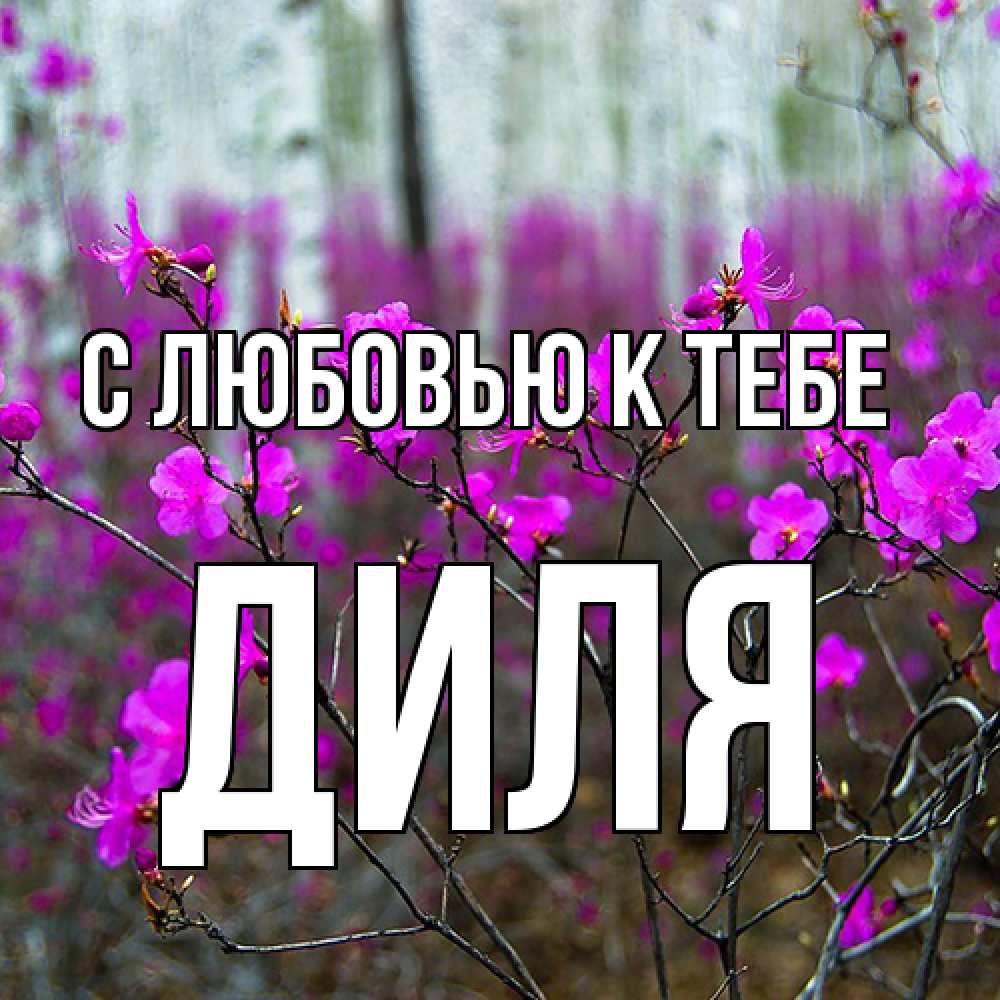 Открытка  с именем. Диля, С любовью к тебе  