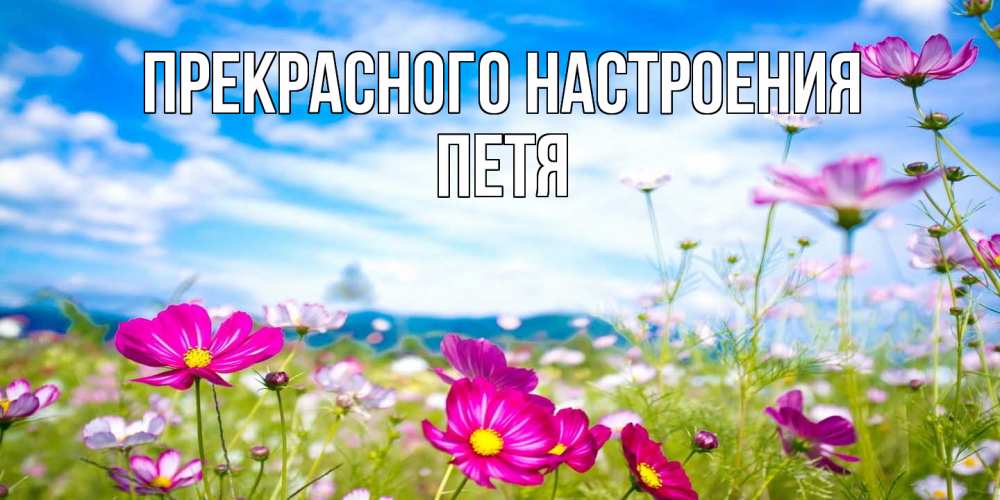 Открытка  с именем. Петя, Прекрасного настроения  