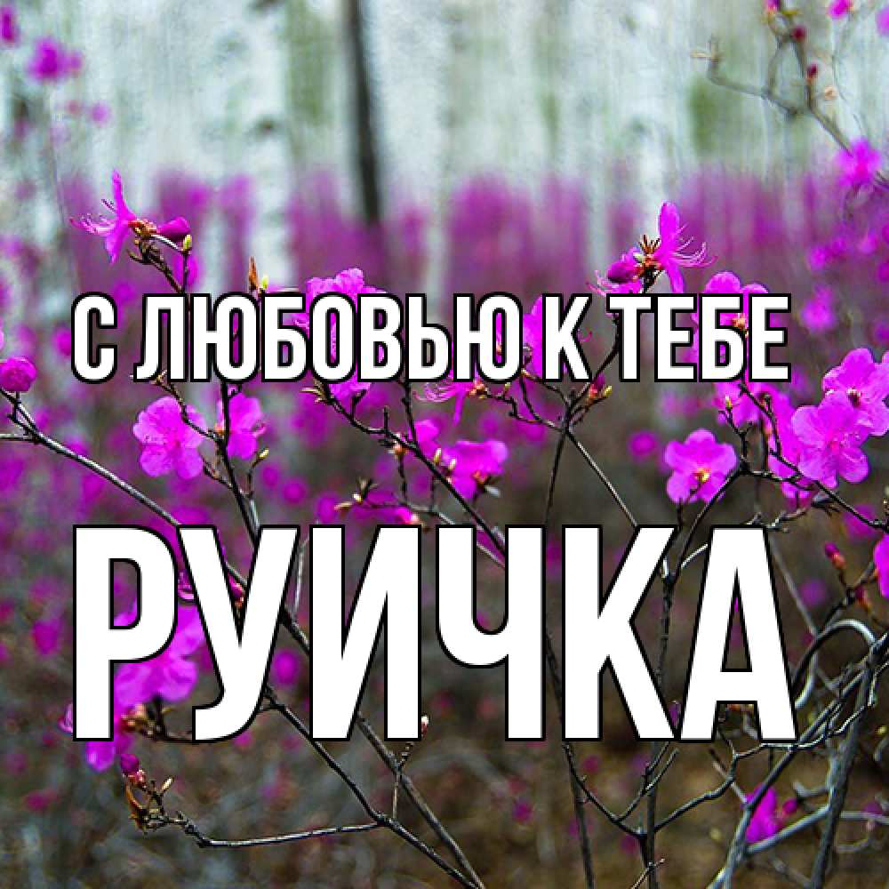 Открытка  с именем. Руичка, С любовью к тебе  