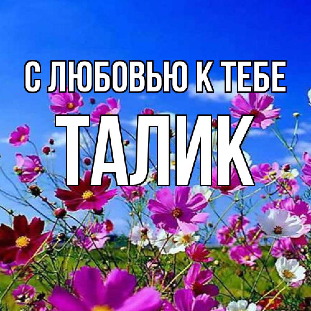 Открытка  с именем. Талик, С любовью к тебе  