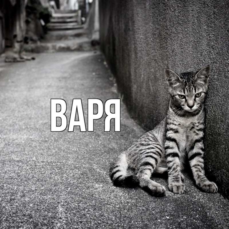 Картинка  с именем , варя