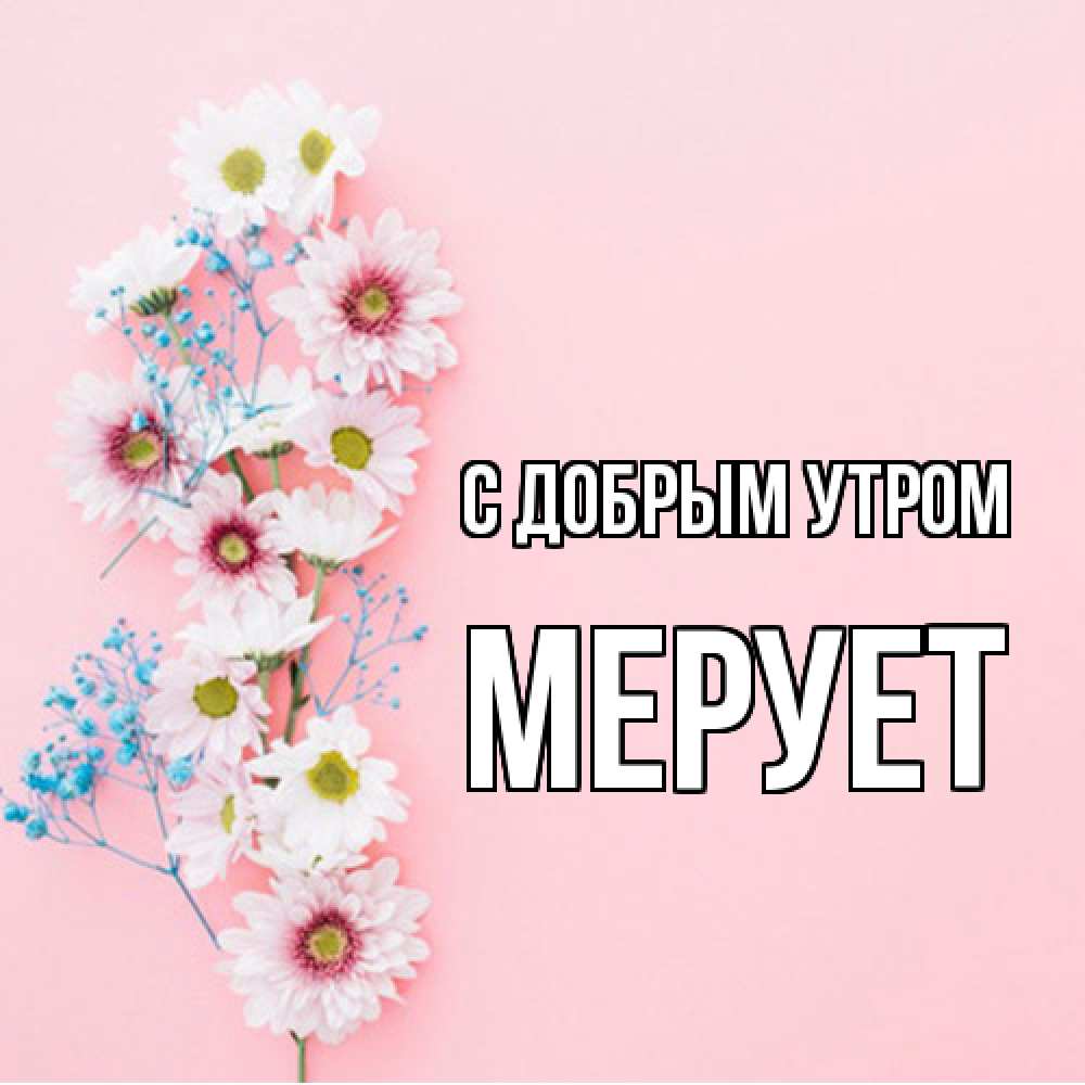 Открытка  с именем. Мерует, С добрым утром  