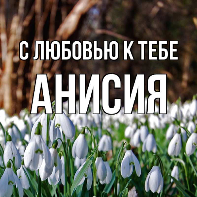 Картинка С любовью к тебе, Анисия