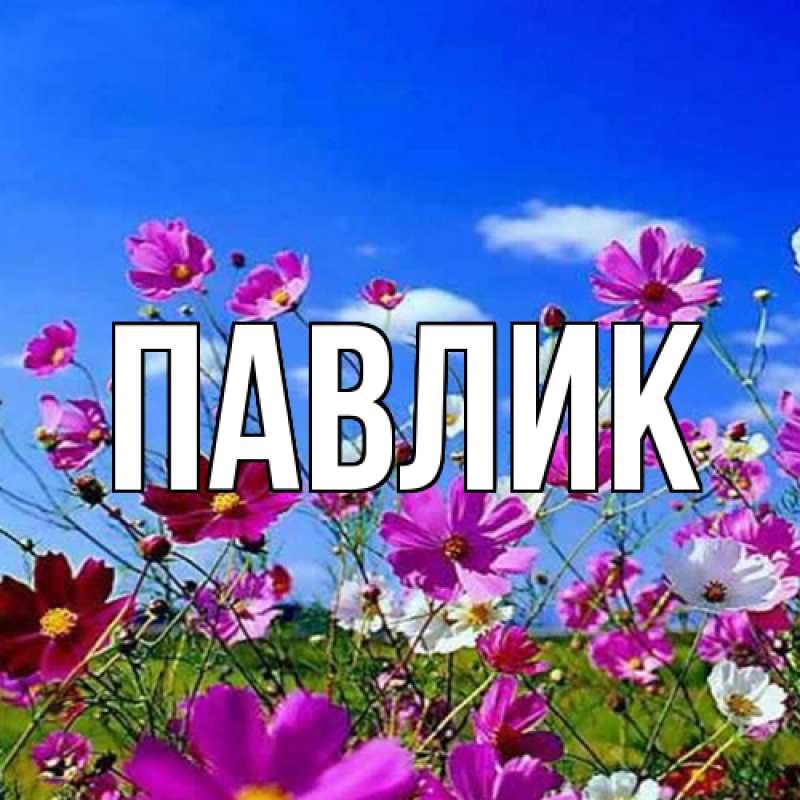 Картинка  с именем , Павлик