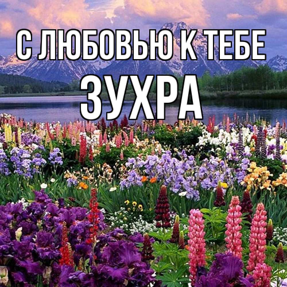 Открытка  с именем. Зухра, С любовью к тебе  