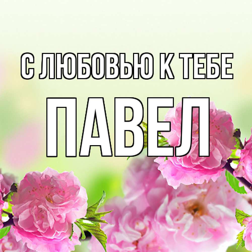 Открытка  с именем. Павел, С любовью к тебе  