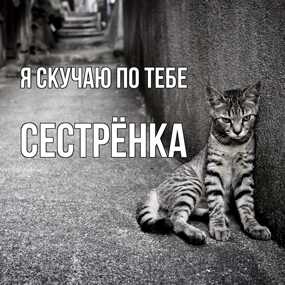 Открытка  с именем. Сестрёнка, Я скучаю по тебе  