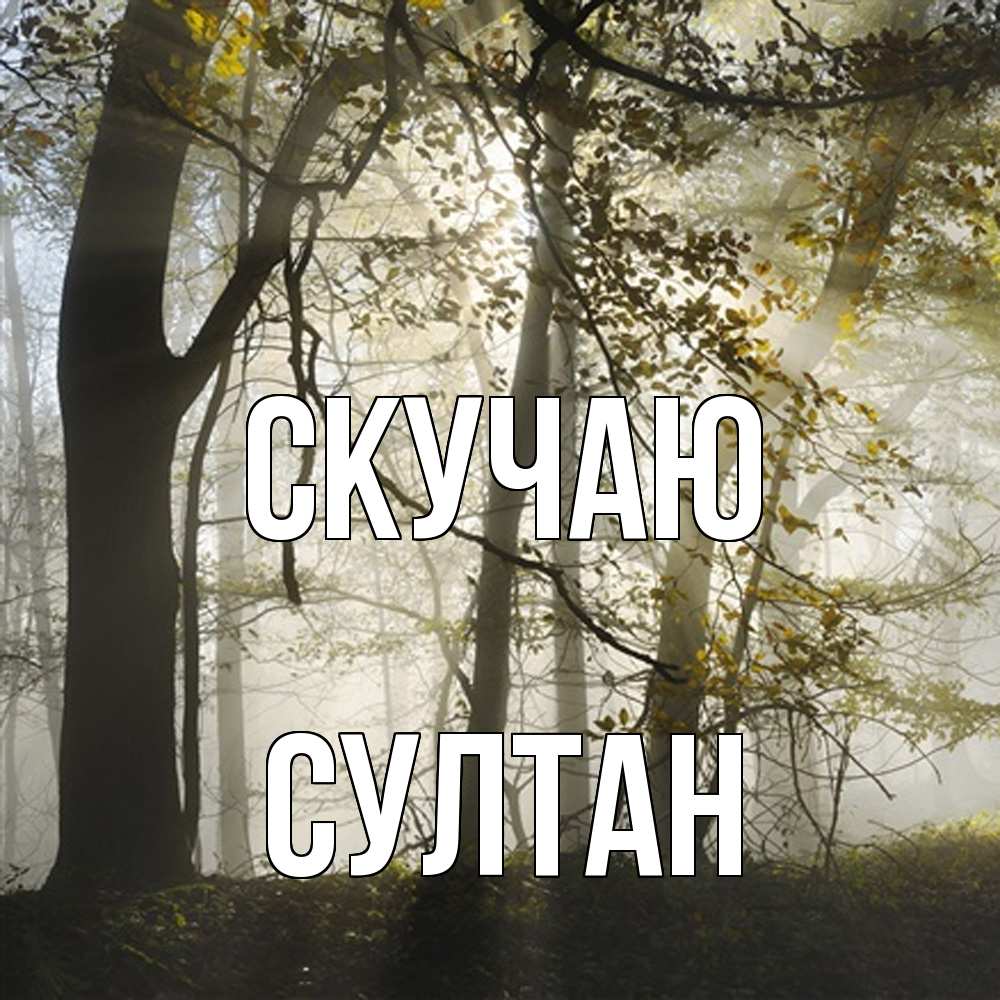 Открытка  с именем. Султан, Скучаю  