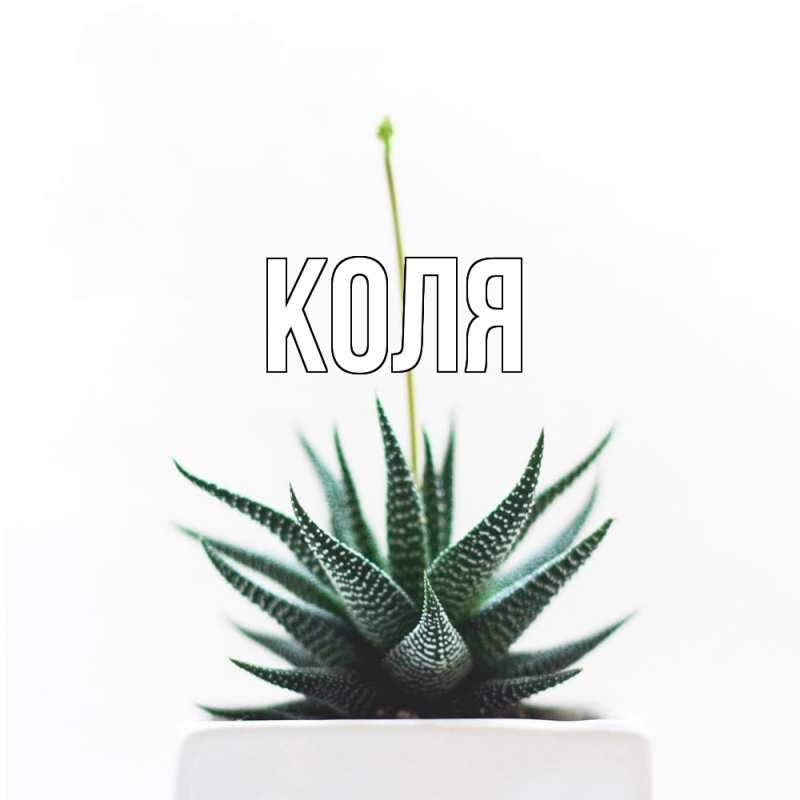 Картинка  с именем , коля