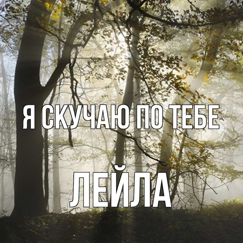 Картинка Я скучаю по тебе, Лейла