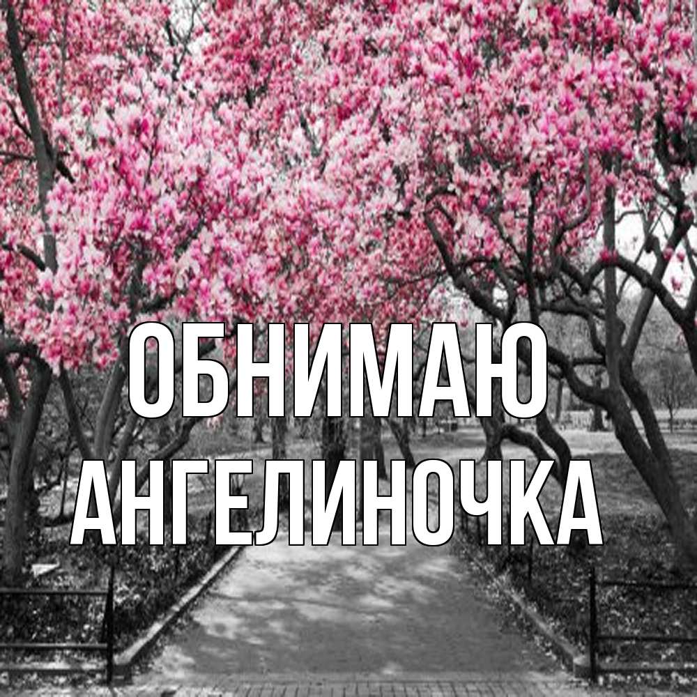 Открытка  с именем. АНГЕЛИНОЧКА, Обнимаю  