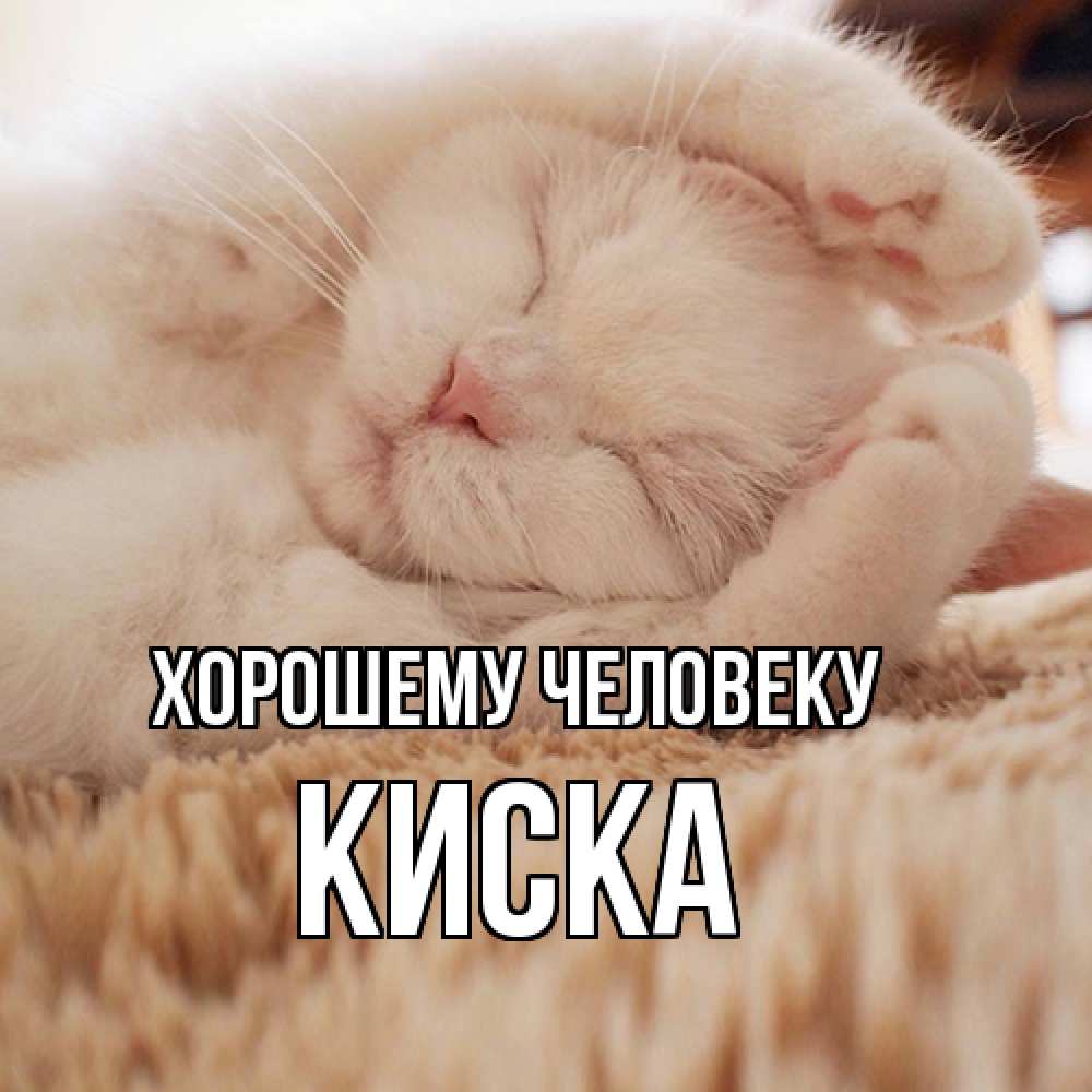 Открытка  с именем. Киска, Хорошему человеку  