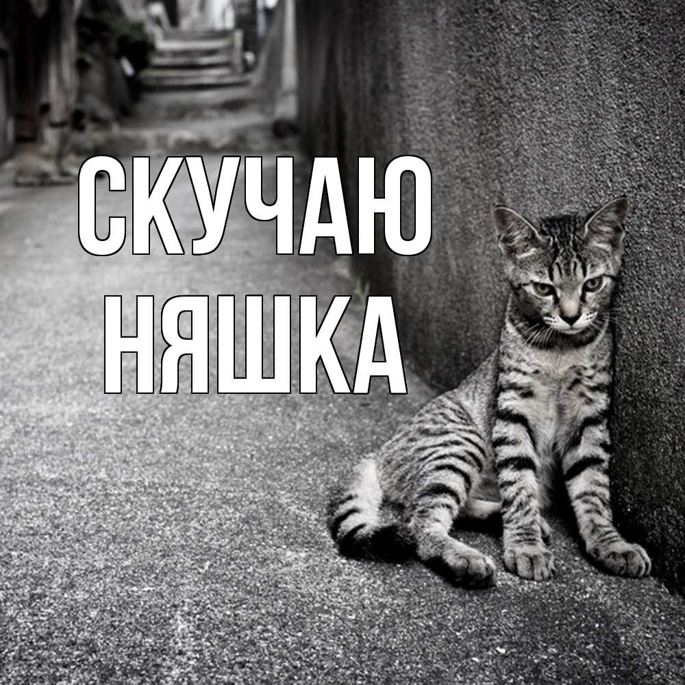 Открытка  с именем. Няшка, Скучаю  