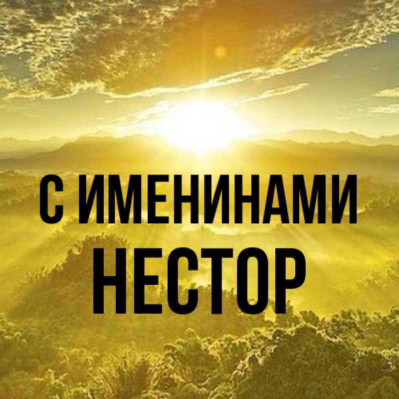 Открытка с именем, Нестор, С именинами