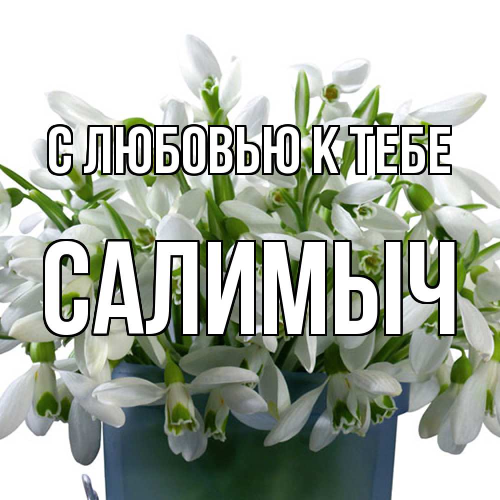 Открытка  с именем. Салимыч, С любовью к тебе  