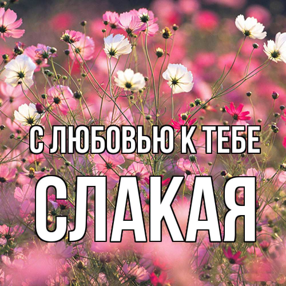 Открытка  с именем. Слакая, С любовью к тебе  