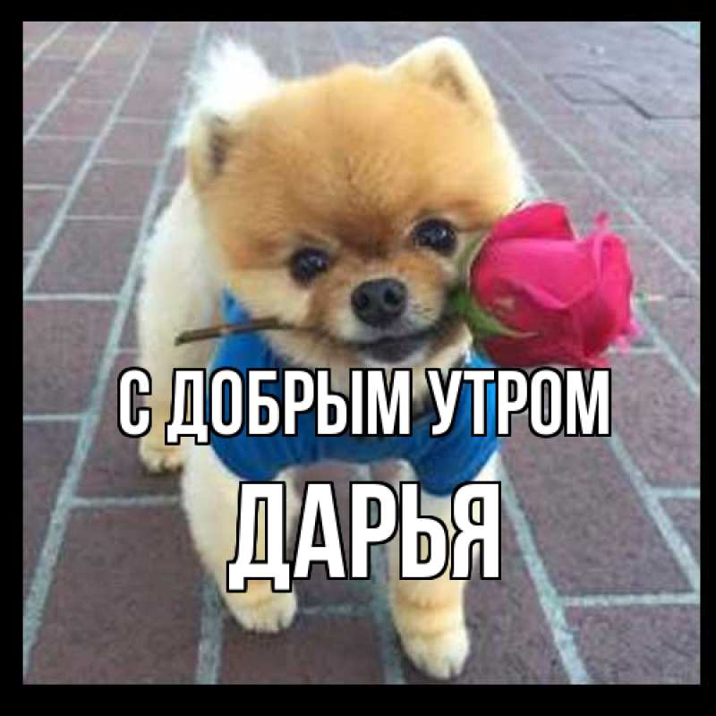 Картинка С добрым утром, Дарья