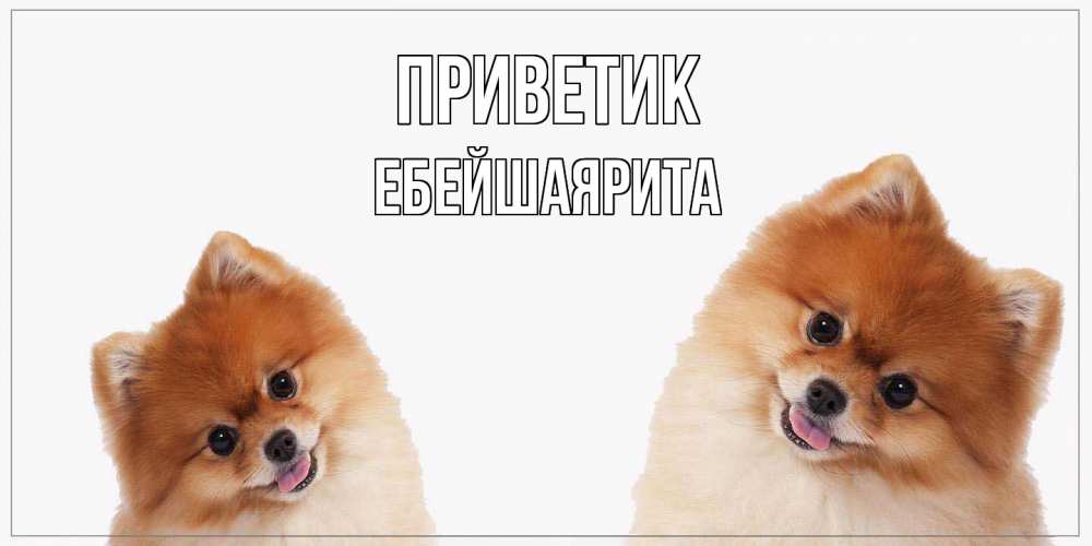 Открытка  с именем. ЕбейшаяРита, приветик  