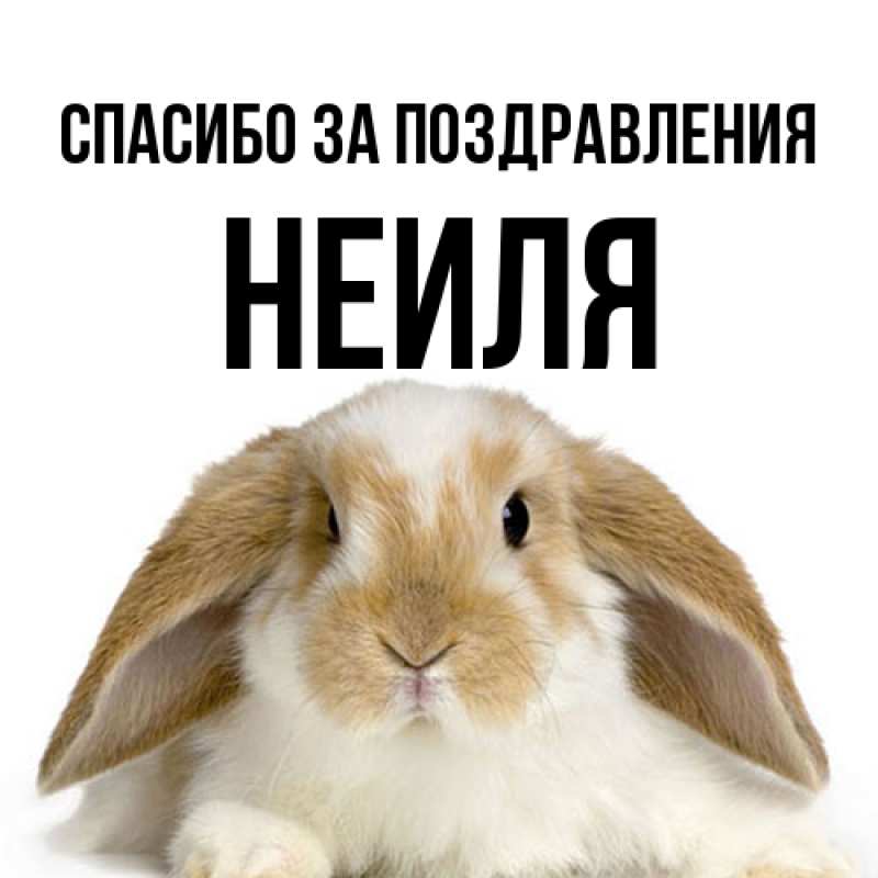 Картинка Спасибо за поздравления, Неиля