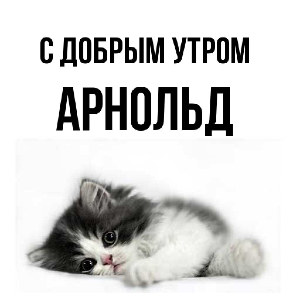 Открытка  с именем. Арнольд, С добрым утром  
